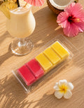 Caribbean Pina Colada waxmelt